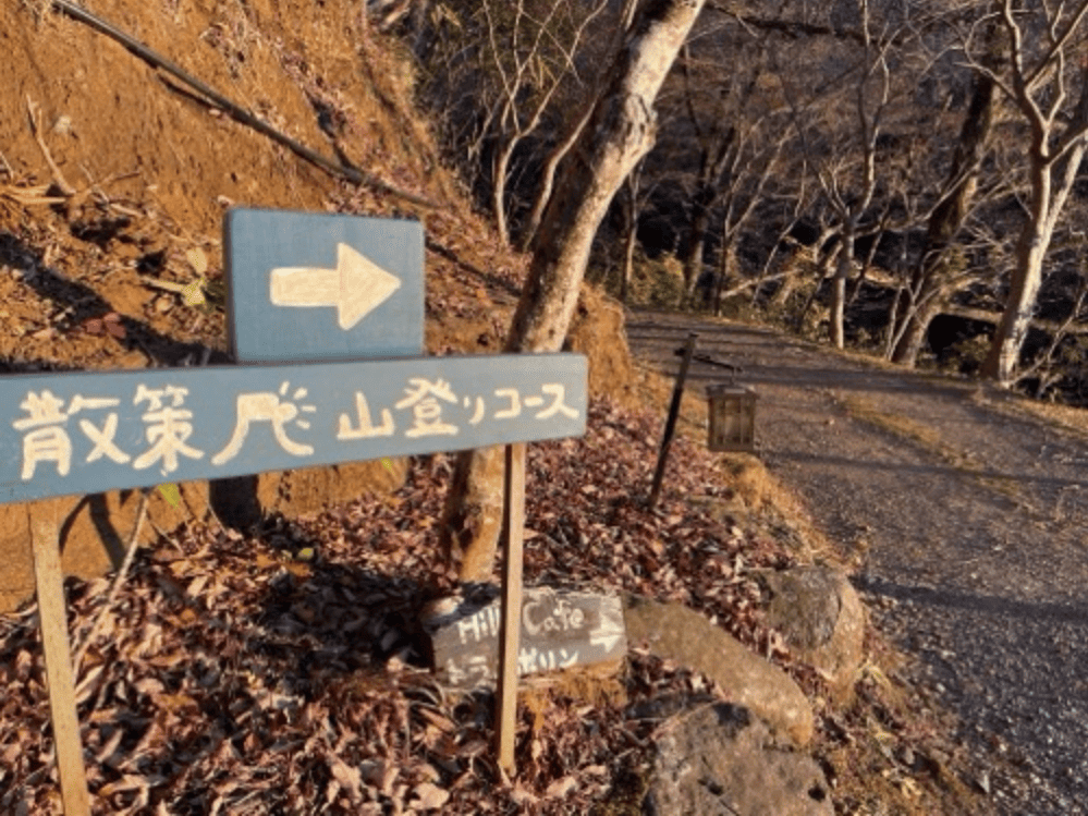 お散歩コース